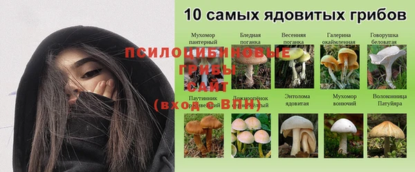 твердый Нефтегорск