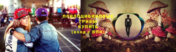 твердый Нефтегорск