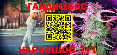 эйфоретик Аргун