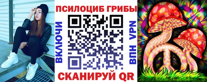 где найти   Вольск  Псилоцибиновые грибы мухоморы 