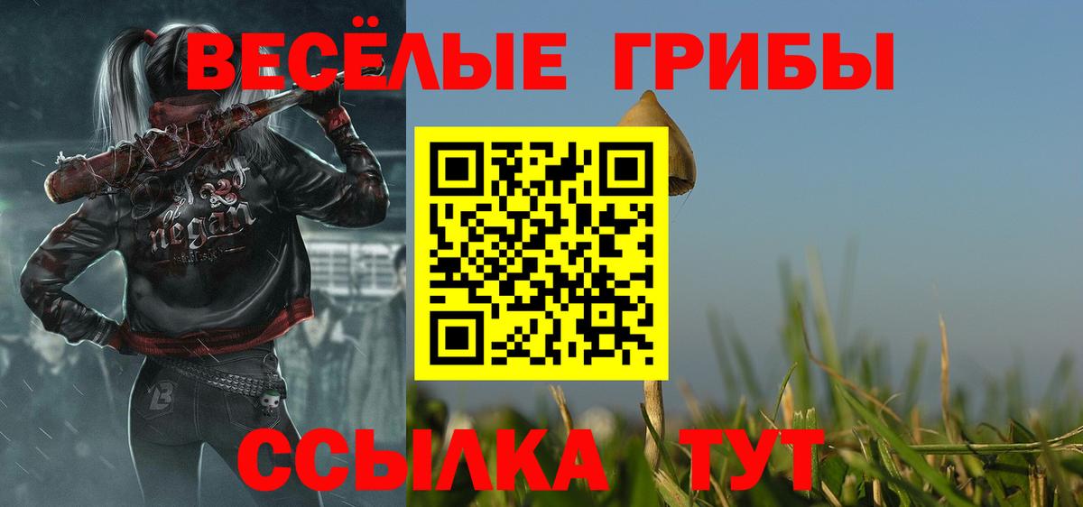 Галлюциногенные грибы Cubensis  Вольск 